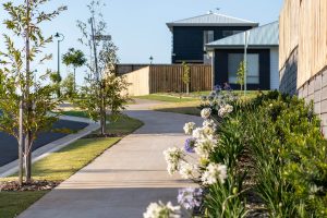 Cohere Projects: Founder Claire O’Rourke